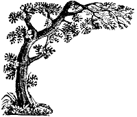 NCPA Tree Logo