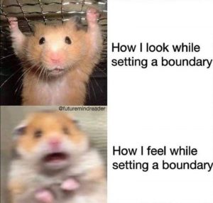 Meme Boundaries 5
